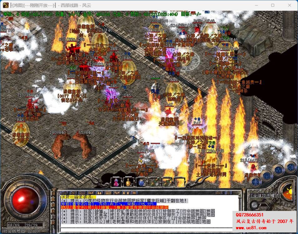 11.jpg